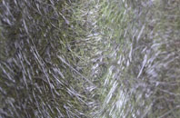 Grantchester fibreglass roof work